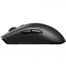 Corsair M55 Wireless Gaming Mouse - black