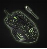 Esperanza EGM212 mouse USB Type-A Optical 2400 DPI Right-hand