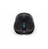 ENDORFY LIX mouse Ambidextrous RF Wireless + USB Type-C Optical 16000 DPI
