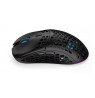 ENDORFY LIX mouse Ambidextrous RF Wireless + USB Type-C Optical 16000 DPI