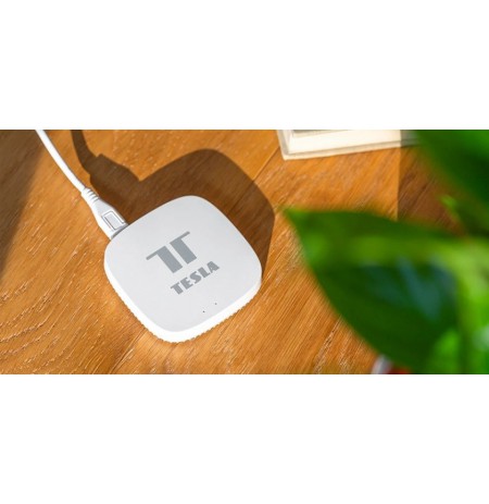 Tesla Device Controller TSL-GW-GT01ZG Smart Zigbee Hub