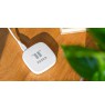 Tesla Device Controller TSL-GW-GT01ZG Smart Zigbee Hub