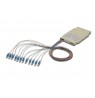 DIGITUS SpleiĂźkassette mit 12 Pigtails, vormontiert, LC, OM4