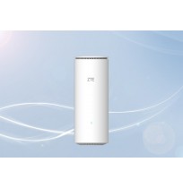 ZTE Z1320 wireless router Gigabit Ethernet Dual-band (2.4 GHz / 5 GHz) White