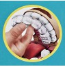 PLD DENTIST F1259 PUD4