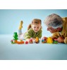 LEGO DUPLO 10452 Camping Trip
