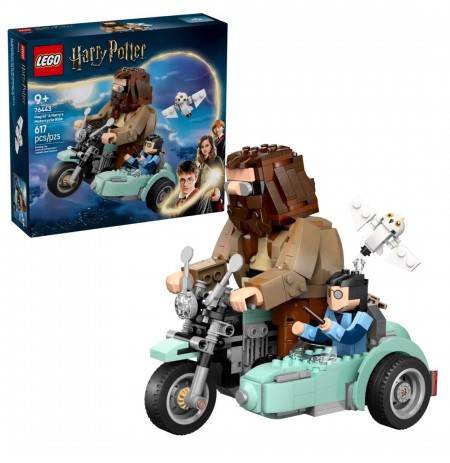 LEGO HARRY POTTER 76443