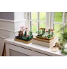 LEGO ICONS 10359 Fountain Garden
