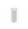 Samsung EB-U2510XUEGEU power bank 10000 mAh Wireless charging Beige