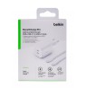Belkin WCH013vf2MWH-B6 Laptop, Smartphone White AC Fast charging Indoor