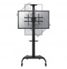 Neomounts by Newstar floor stand