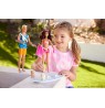 Barbie Surfer Doll & Accessories HPL69 p6 MATTEL