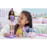 Barbie Career Doll Pop Star HRG43 MATTEL