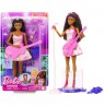 Barbie Career Doll Pop Star HRG43 MATTEL