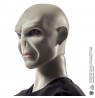 Harry Potter+Voldemort figurines zest GNR38 /3