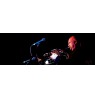 RODE M1 microphone Black Stage/performance microphone