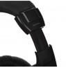 Behringer HPM1100U - ausin