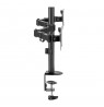 Maclean desk mount for 2 monitors, VESA 75x75 and 100x100, 17-32", 2x 9kg, MC-754N