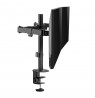 Maclean desk mount for 2 monitors, VESA 75x75 and 100x100, 17-32", 2x 9kg, MC-754N