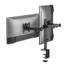 Maclean desk mount for 2 monitors, VESA 75x75 and 100x100, 17-32", 2x 9kg, MC-754N
