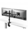 Maclean desk mount for 2 monitors, VESA 75x75 and 100x100, 17-32", 2x 9kg, MC-754N