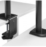 Maclean desk mount for 2 monitors, VESA 75x75 and 100x100, 17-32", 2x 9kg, MC-754N