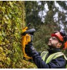 18V XR Brushless Hedge Trimmer 55cm, Carton