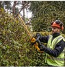 18V XR Brushless Hedge Trimmer 55cm, Carton
