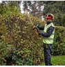 18V XR Brushless Hedge Trimmer 55cm, Carton