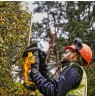 18V XR Brushless Hedge Trimmer 55cm, Carton