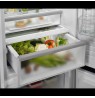 Chłodziarko-zamrażarka ELECTROLUX ENC8MD18S