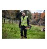 18V XR Brushless Folding Trimmer 36cm In Carton