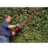 Einhell GC-EH 6055/1 Single blade 600 W 3.47 kg
