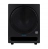 PreSonus Eris Pro Sub10 - Subwoofer Active