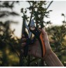 FISKARS SCISSOR SHEARS PLUS P721