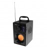 Speakers Media tech MT3145 V2 (black color)
