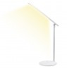 LED desk lamp with rechargeable battery