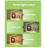 LED desk lamp with rechargeable battery