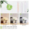 LED desk lamp with rechargeable battery
