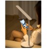 LED desk lamp with rechargeable battery