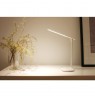 LED desk lamp with rechargeable battery