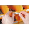DYMO RHINO 5200 label printer Thermal transfer 180 x 180 DPI 10 mm/sec ABC