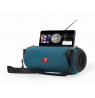 Gembird SPK-BT-17 portable Bluetooth speaker with FM-radio, green
