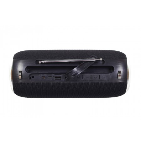 Gembird SPK-BT-17 portable Bluetooth speaker with FM-radio, black