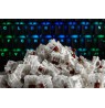 Glorious Gateron Brown Switches (120 pieces)