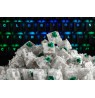 Glorious Gateron Green Switches (120 pieces)