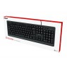 Trust Primo keyboard USB QWERTY US English Black