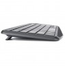 Techly ICTB9801TB keyboard RF Wireless + Bluetooth QWERTY US English Black