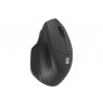 NATEC WIRELESS SET 2IN1 OCTOPUS 2 US