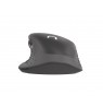 NATEC Wireless Mouse Euphonie 2400DPI black